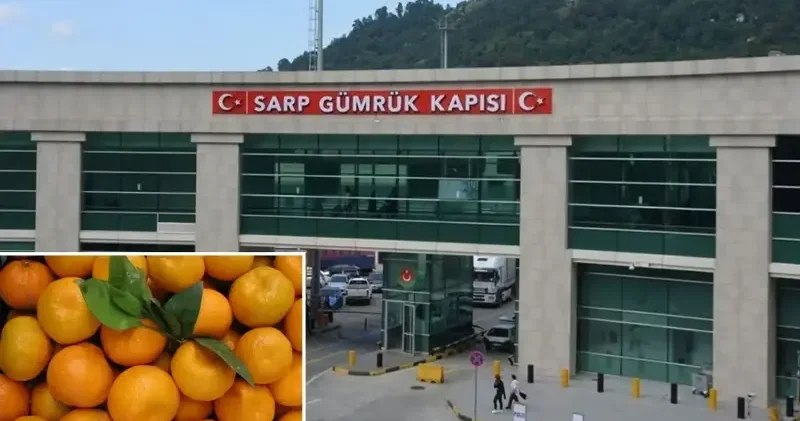 Sınır kapısındaki denetimde tespit edildi: 6 bin 100 kilogram mandalina imha edildi Ekonomi Haberleri