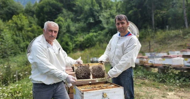 Türkiye nin AB tescilli 43 üncü ürünü Yenice ıhlamur balı oldu Karabük Valisi Mustafa Yavuz: Avrupa Birliği coğrafi işaret yolculuğunun da bu şekilde sonuçlanması bizleri ziyadesiyle sevindirmiş oldu Karabük Haberleri