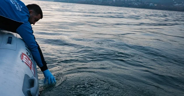 Sapanca Gölü ndeki kabarcıkların sebebi belli oldu: Yeraltından doğal hava çıkışı Sapanca Gölü ndeki kabarcıklar ile ilgili SASKİ den açıklama Suyun kalitesinde herhangi bir olumsuzluğa rastlanmadı Sakarya Haberleri