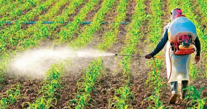 Zirai ilaçlar reçeteyle alınacak Gündem Haberleri
