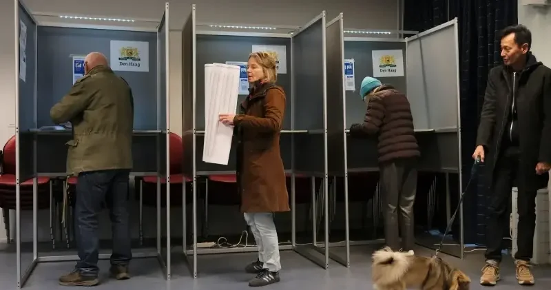Hollanda seçimleri bize ne söylüyor? Düşünce Günlüğü Haberleri