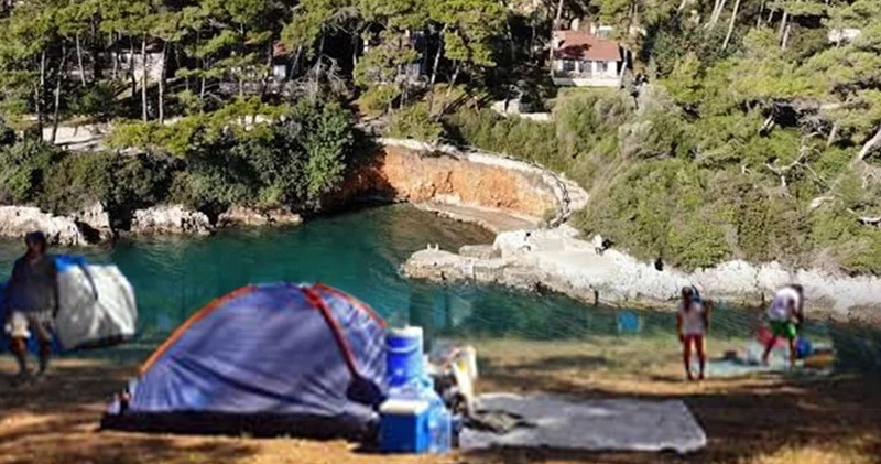 Akyaka orman kampında hukuksuz ihale skandalı: Valilik kendi yasasını çiğniyor