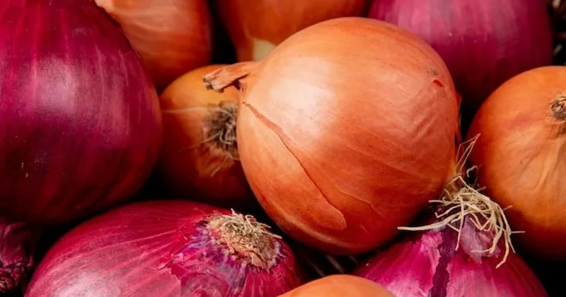 Soğanlarınızı bu sebzede uzak tutun aylarca taze kalsın Sözcü Gazetesi