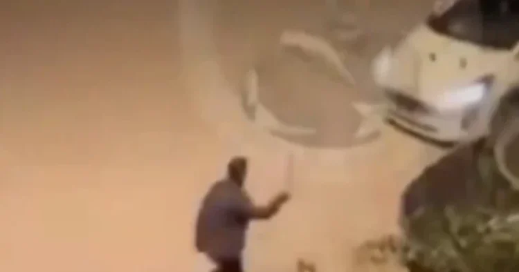 Bakan Yerlikaya duyurdu: Mahalleyi ayağa kaldıran maganda yakalandı