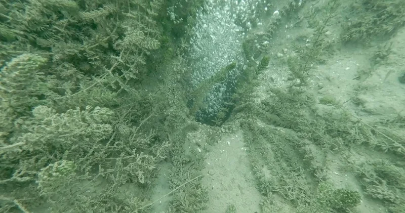 Sapanca Gölü nde neler oluyor? Halk diken üstünde! Ekipler bölgeye akın etti