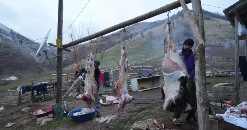 Muş ta asırlık kavurma geleneği yaşatılıyor