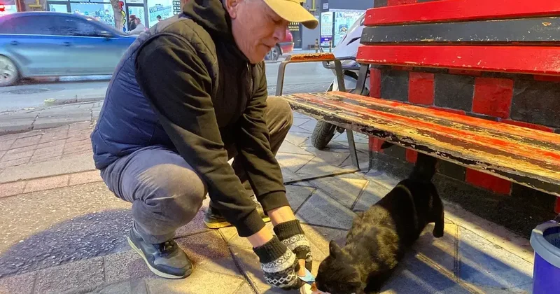 Bu taksi durağı esnafın hayvan sevgisi ile öne çıkıyor
