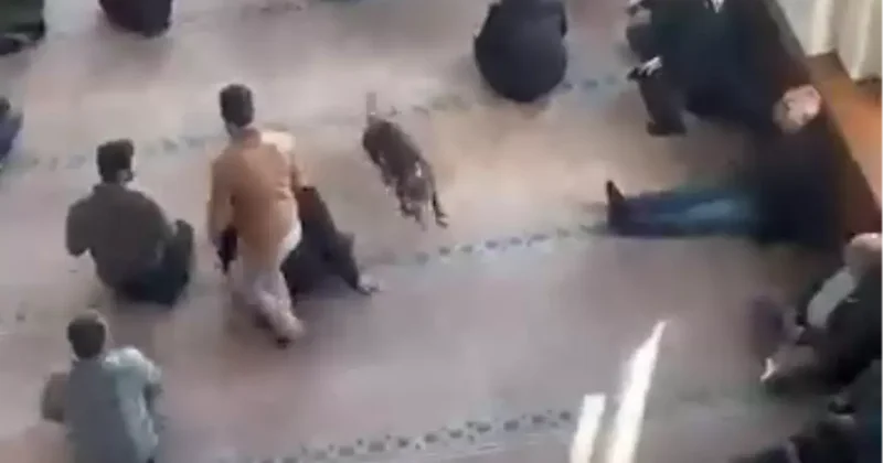 Camiye Pitbull Girişi Tedirginlik Yarattı
