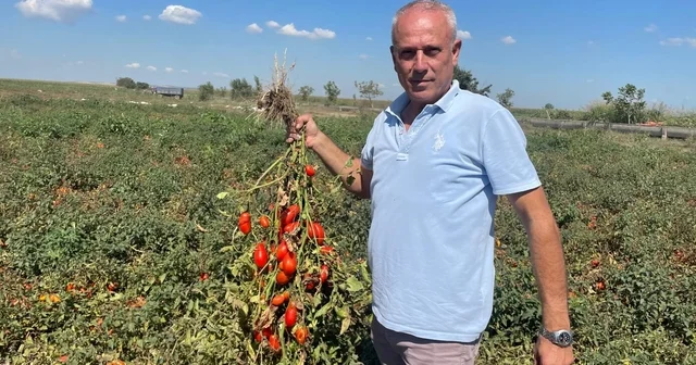Dedesi seçimde muhtar oldu adına Seçim konuldu Bursa Haberleri