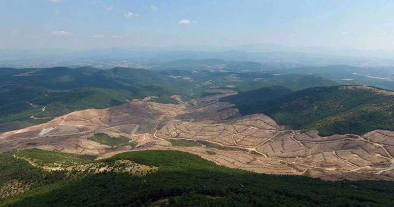Kazdağlarını dümdüz edip yılın çevrecisi seçildi: Böylesi ancak Türkiye de olur