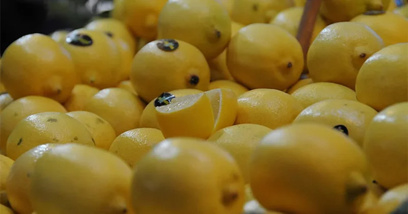 Markette satılan limonlar toplatılıyor Sözcü Gazetesi