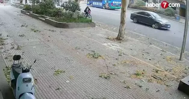 Çin de talihsiz kaza: Bisikletli yaşlı adamın üzerine ağaç dalı düştü