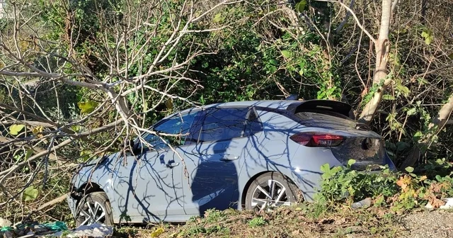 Sinop ta kontrolden çıkan otomobil ağaçlık alana devrildi Sinop Haberleri