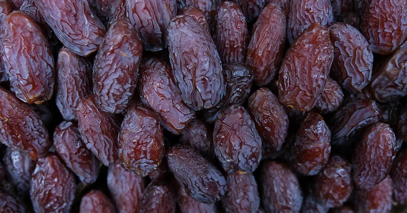 Türkiye den Filistin e hurmada kota desteği