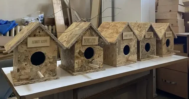 Depremde kaybedilen isimler kuş evlerinde yaşatılacak VİDEO İZLE