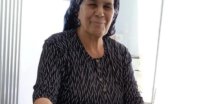 Adıyaman da otomobilin çarptığı kadın, 12 gün sonra öldü Adıyaman Haberleri