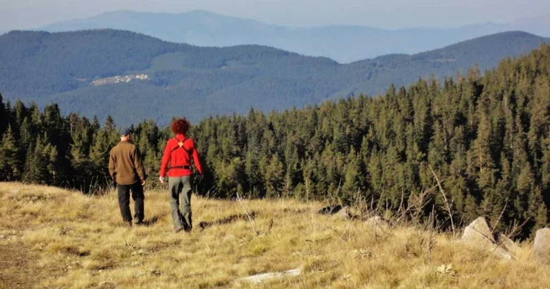 Tüm dünya Bolu da görmeye gidiyor: Karası kızılı sakallısı bir arada