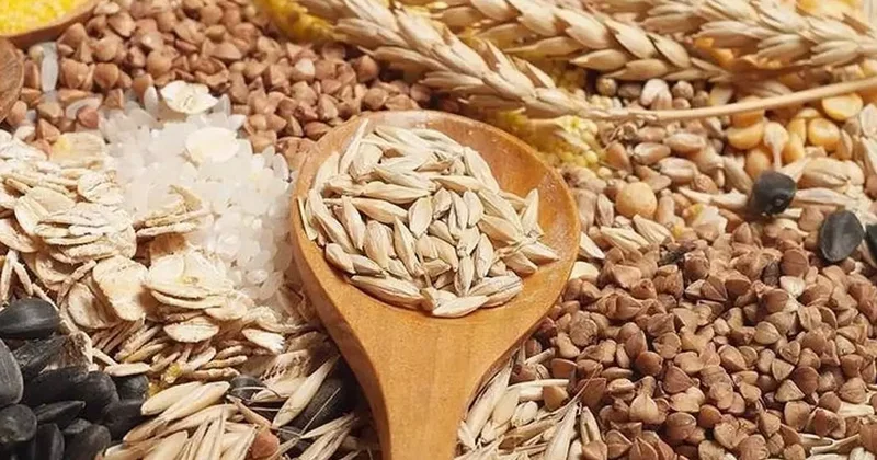 Güneydoğu dan 11 ayda 3,2 milyar dolarlık hububat ihracatı yapıldı