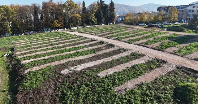 Gölcük e yeni mezarlık alanları hazırlandı Kocaeli Haberleri