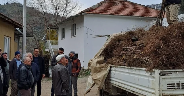Köşk te köklü kestane fidanları üreticilere dağıtıldı Aydın Haberleri
