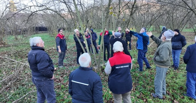 Fındıkta verim ve kalite artırılıyor Düzce Haberleri