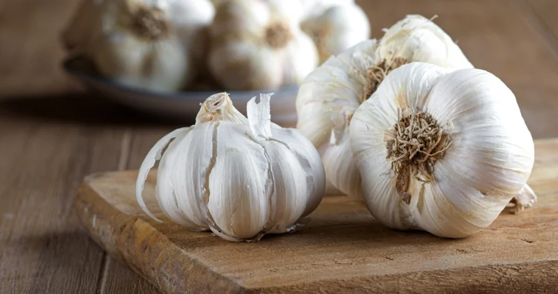 Mikroplara karşı doğal kalkan: Sarımsak alternatifleri