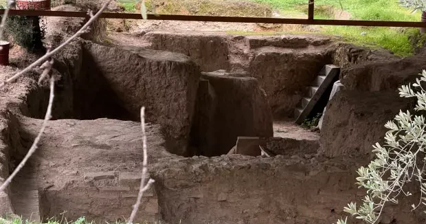 Bursa haberleri Tarla gece gündüz korunuyor! Bilinen tek örnek gün yüzüne çıkarıldı 20 Aralık 2025