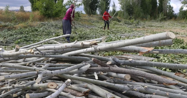 Kömür pahalı, odun umut: Erzincan kırsalında kış mesaisi Erzincan Haberleri