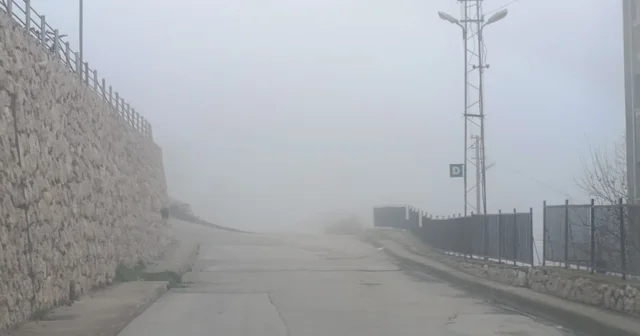 Amasya da sis etkili oldu Amasya Haberleri