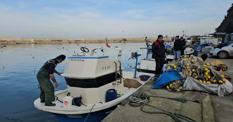 Palamut yok, istavrit kayıp: Bu sezon hamsi yalnız kaldı Sözcü Gazetesi