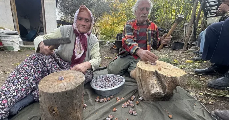 Topladıkları kozalakları kızgın ateşte saatlerce kaynatarak şifa deposuna dönüştürüyorlar