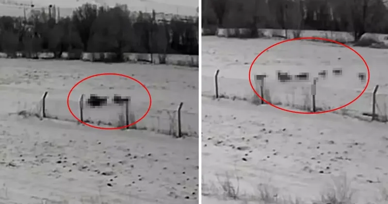 Görüntü Türkiye den: Gündüz vakti baskın yaptılar, vatandaşlar korku içinde