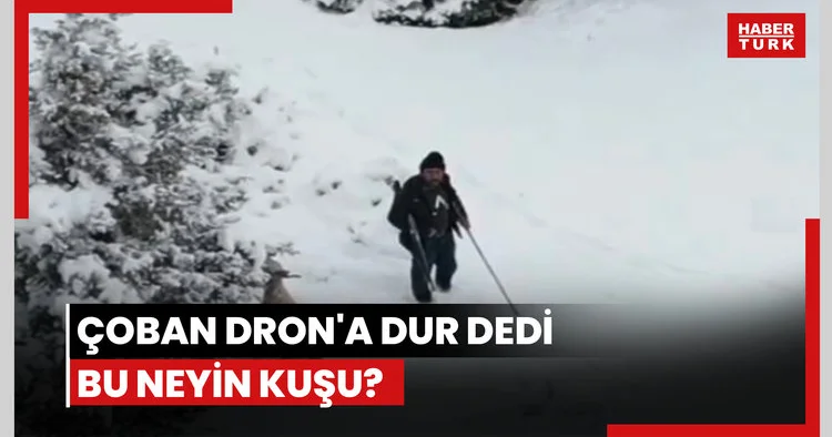 Çoban Dron a dur dedi