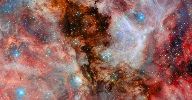 Hubble, komşu galaksideki bebek yıldızları görüntüledi