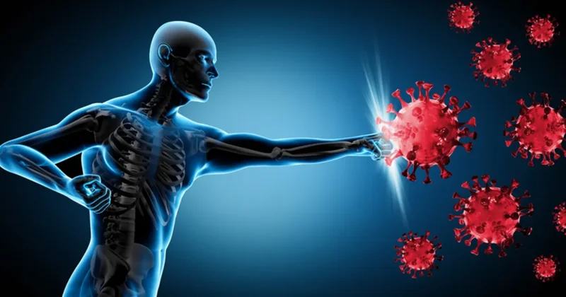 Hangi diyet bağışıklığı güçlendiriyor? Cevabı bilim veriyor