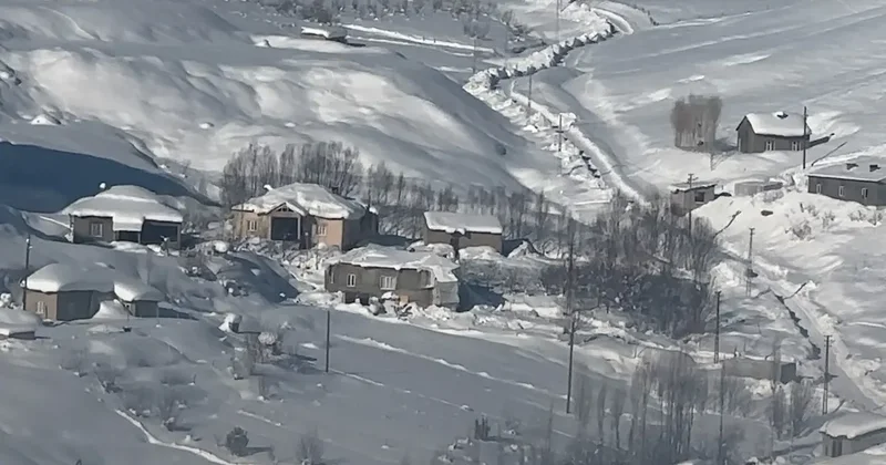 Yüksekova’da çiftçilere kurt saldırısı uyarısı