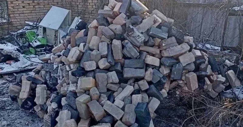 Hayatta kalmak için buldukları tüm taşları üzerlerine koyuyorlar: Bu yönteme tebrikler yağdı Sözcü Gazetesi