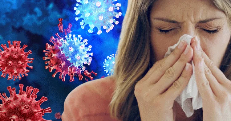 Bilim insanlarından çok ilginç deney! Grip hastalarını sağlıklı yetişkinlerle birlikte bir otel odasına kilitlediler ve sonuçlar herkesi şaşkına çevirdi