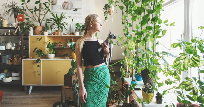 Evinizi çiçeklerle süslemeden önce bir daha düşünün! İşte kediler için zehirli 8 çiçek