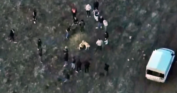 Afyonkarahisar da jandarma köpek dövüşünü dronla tespit etti: 14 kişi gözaltına alındı