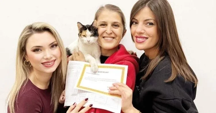 ‘Düdüksu’ karne aldı, miyavlama pekiyi