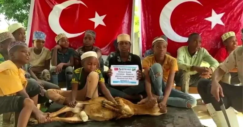 6 yıl süren boşanma davası sonuçlanır sonuçlanmaz Afrika da 8 adet adak koç kestirdi