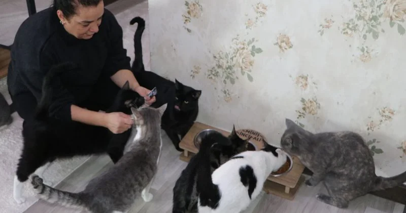 Korkusunu yendi, evini sokak kedilerine yuvaya dönüştürdü