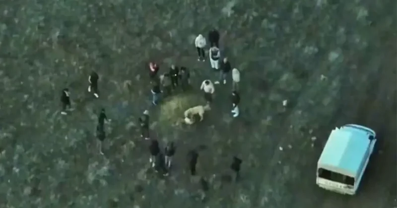 Köpek dövüştüren şahıslara jandarmadan dronlu baskın