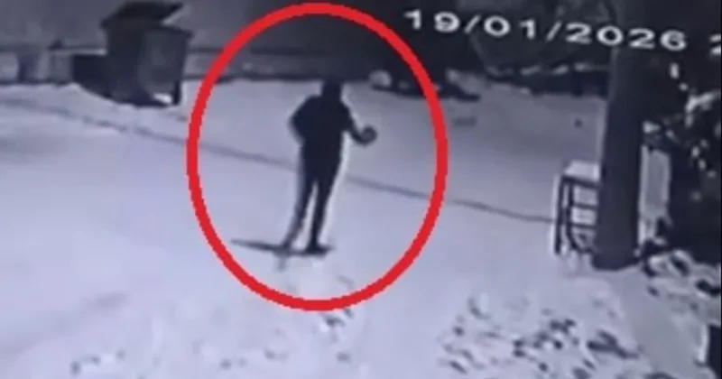 Mahalleye inen kurtları, çaydanlıkla kovaladı: Türkiye de bu da oldu! Sözcü Gazetesi