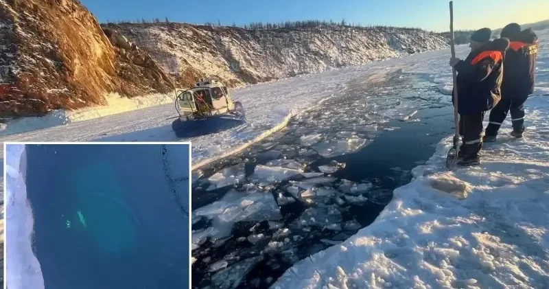 Rusya’da Baykal Gölü’nde buz altına giren araçta 8 kişi öldü Dünya Haberleri