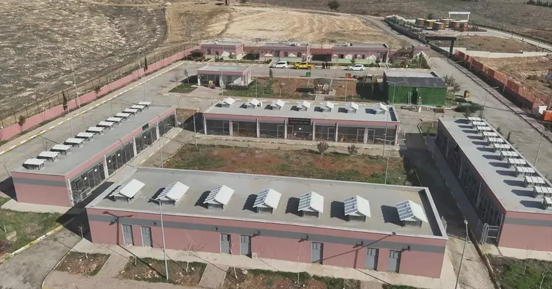 Şanlıurfa da Sahipsiz Hayvan Projesi Başarıyla Tamamlandı
