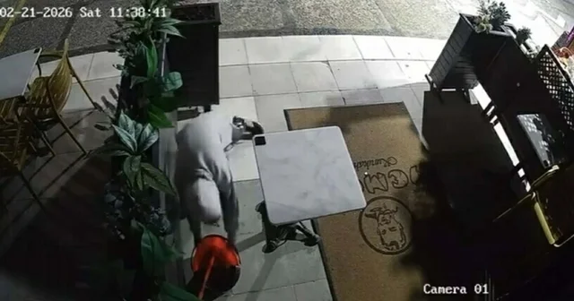 Yanındaki çocuğa dükkanın önündeki paspas ve kovayı çaldırdı; o anlar kamerada Manisa Haberleri