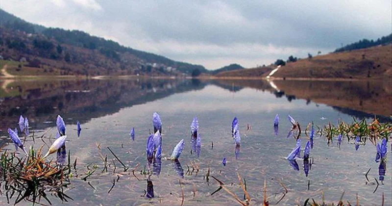 Baharın ikinci müjdecisi yolda: Cemre suya düşecek