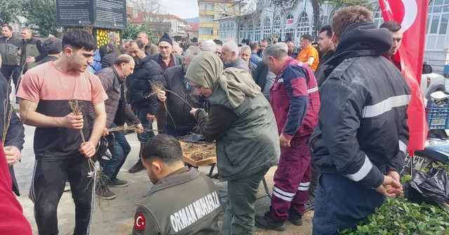 Dağıtılan 2 bin meyve fidesi toprakta hayat bulacak Sakarya Haberleri